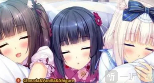 SAYORI2026���ذ�װ