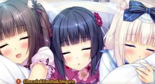 SAYORI2026���ذ�װv1.0.0.0 �ٷ�����