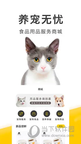 ��ֻ����