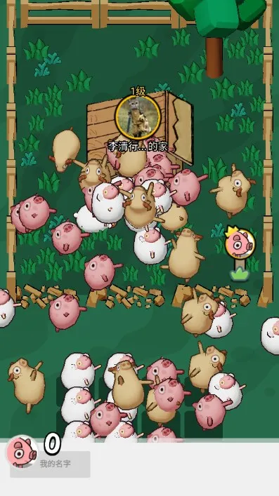 ��ѽ��2026�ٷ�����