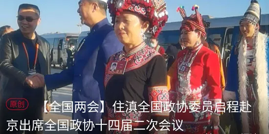 ������Э��