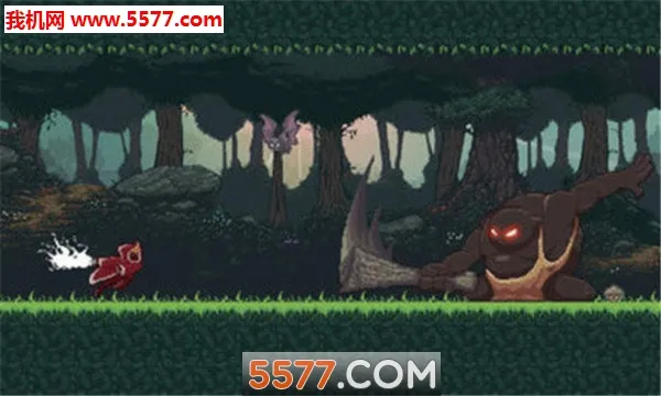 Ť���Ĺ���2026���ذ�װv2.4 �ٷ�����