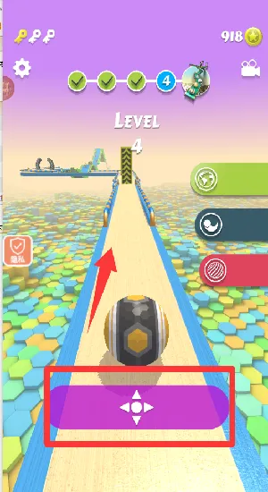 ָ������