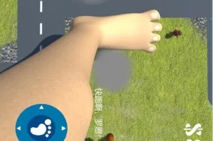 大脚模拟器 大脚模拟器