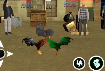 ����ģ����2026�ٷ�����