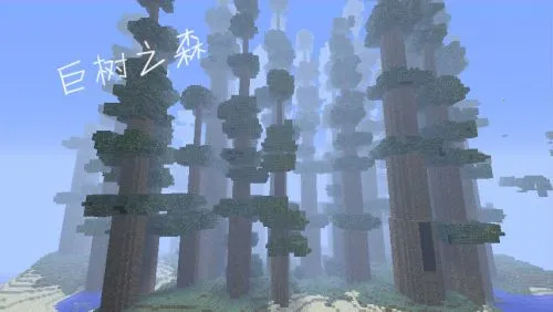 �ҵ���������ľ���