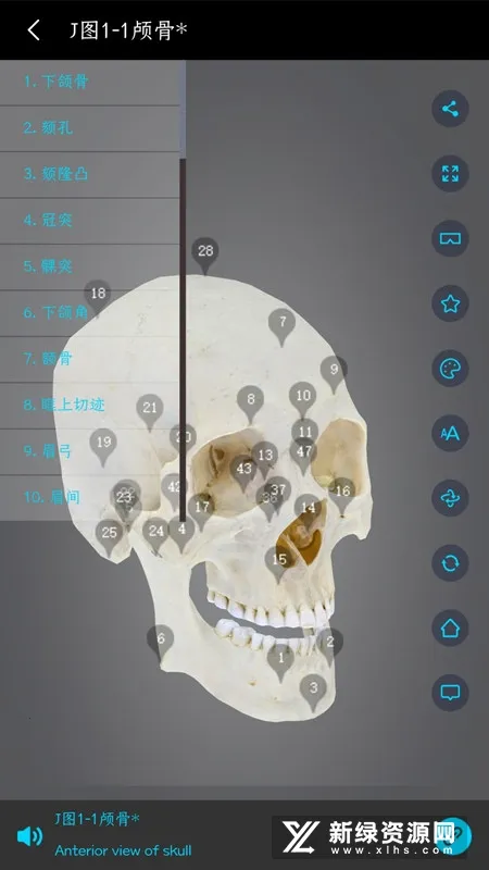 ҽά�Ƚ��������ֻ���v3.0.2 �ֻ���