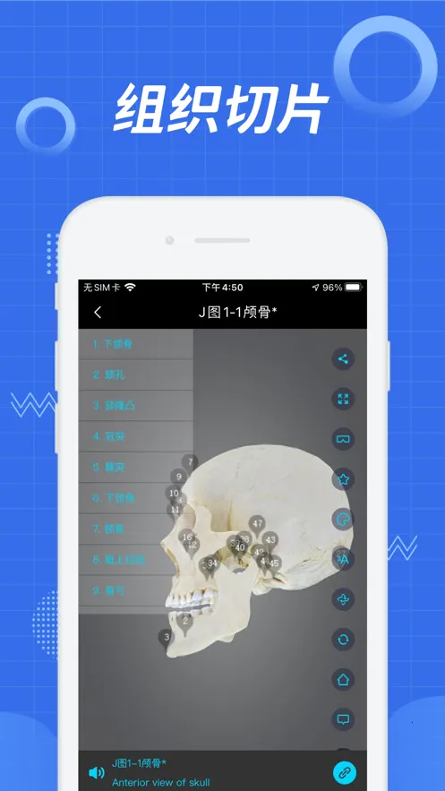 ҽά�Ƚ��������ֻ���v3.0.2 �ֻ���