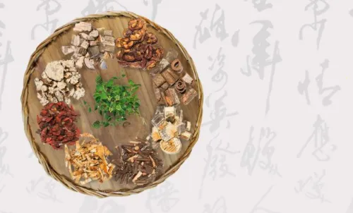 小鹿中医 小鹿中医