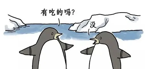 随时聊安卓版手机版 随时聊安卓版手机版