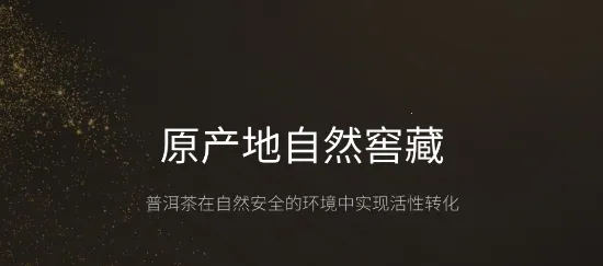 茶马古窖 茶马古窖