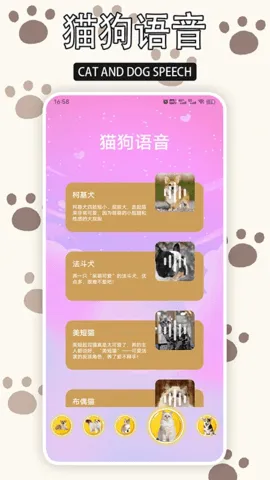 ����è2026�ٷ�����v1.9 �ٷ�����