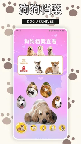 ����è2026�ٷ�����v1.9 �ٷ�����