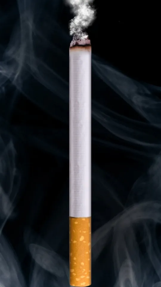 ��������2026���ذ�װv2.1 ��Ѱ�