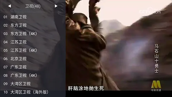 WebViewTV�����ֻ���v2.1.1 �ٷ�����