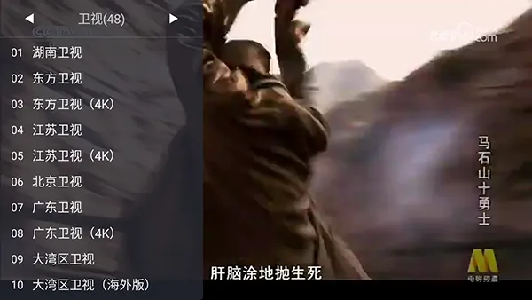 WebViewTV最新手机版 WebViewTV最新手机版