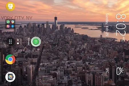 ������̬��ֽ2026�ٷ�����