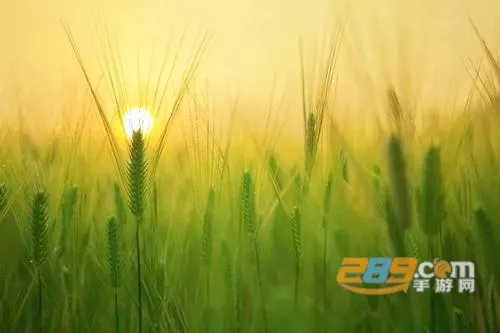 智农通2026最新版本 智农通2026最新版本