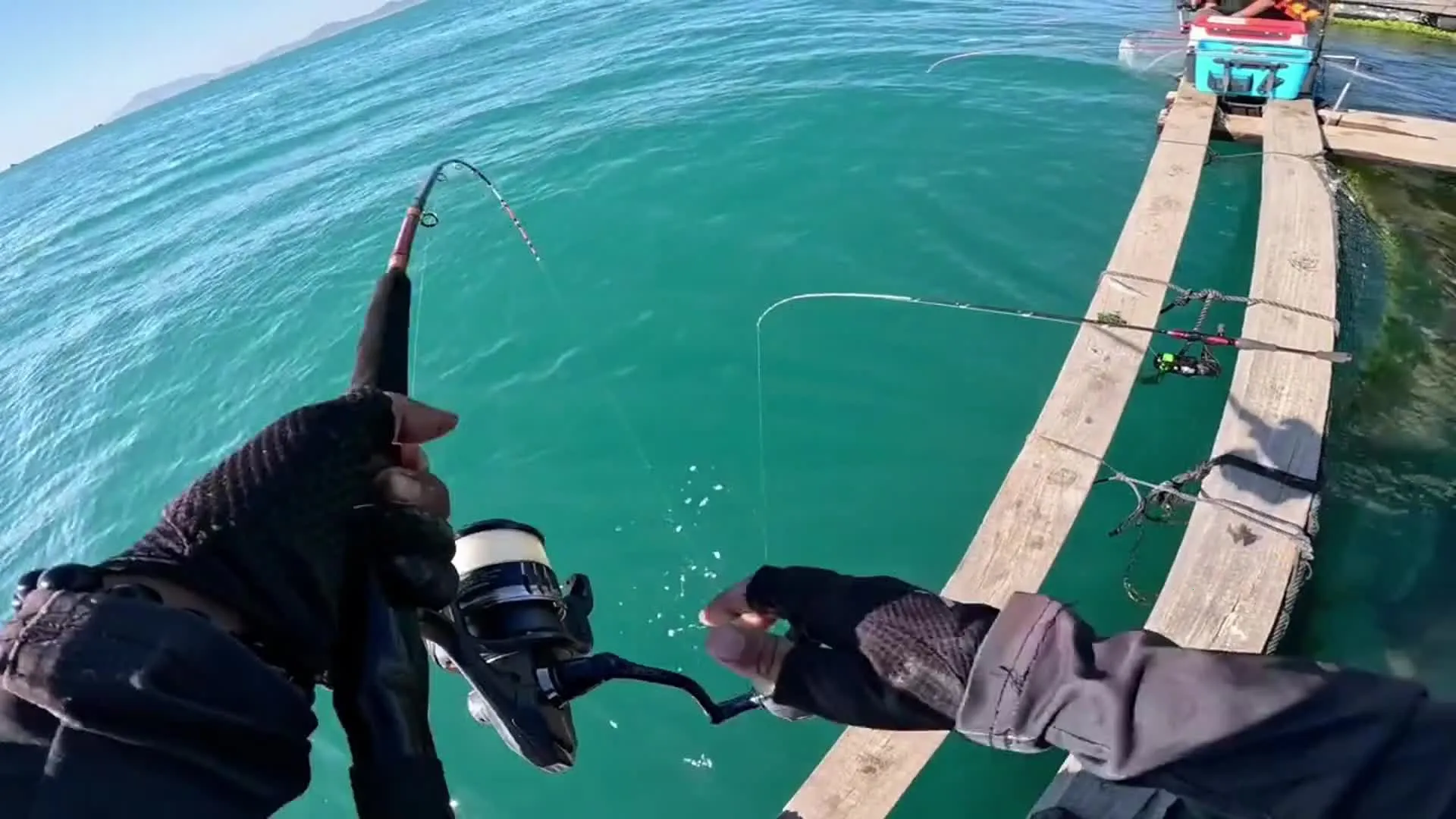 �����ʦ�������ֻ���