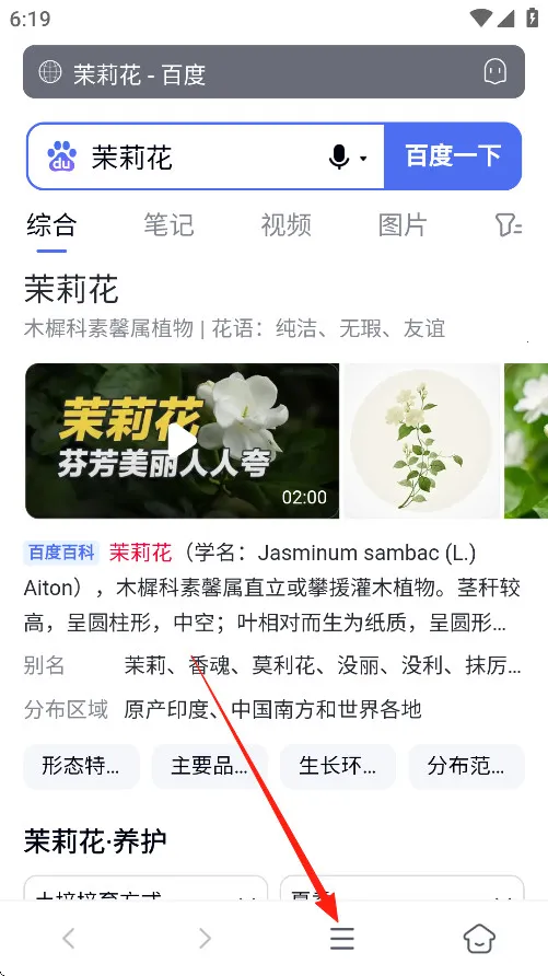 ���������ƻ����