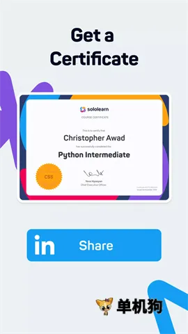 SoloLearnv4.0.5 �ֻ���