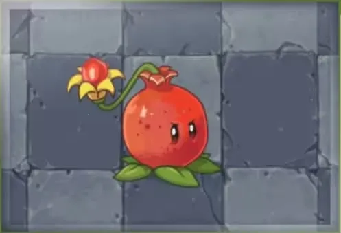 植物大战僵尸秦始皇陵 植物大战僵尸秦始皇陵