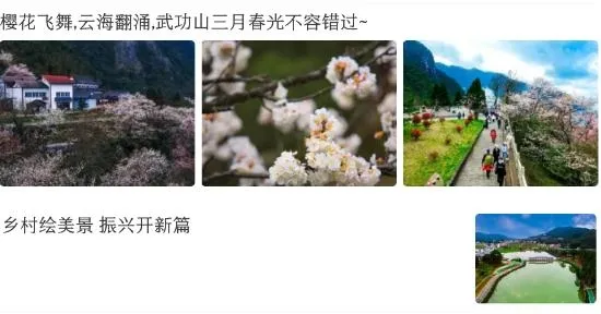 今彩萍乡安卓版手机版 今彩萍乡安卓版手机版