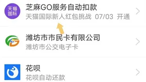 ֧����(֧���������ƽ̨)