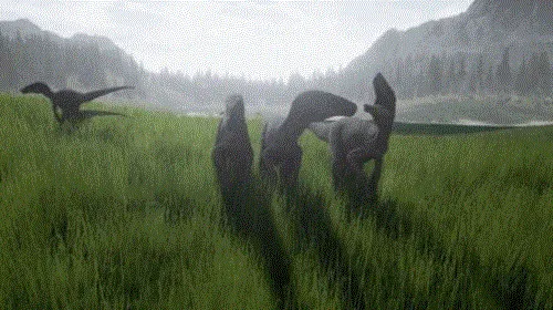 ��������������2026�ٷ����°汾