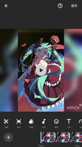 lnShot(��Ƶ�༭����)