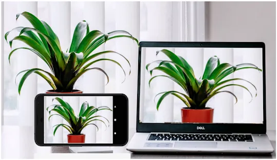 Iriun Webcam(��Ƶ��������)v2.8.12 �ֻ���