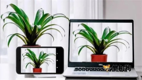 Iriun Webcam(视频传输软件) Iriun Webcam(视频传输软件)