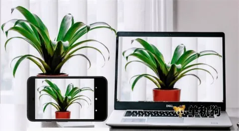 Iriun Webcam(��Ƶ��������)v2.8.12 �ֻ���