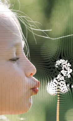 ��������ģ��2026���°汾v0.981 �ٷ�����