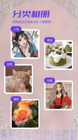 ˽���ಾ2026���°汾v1.2 ��׿��