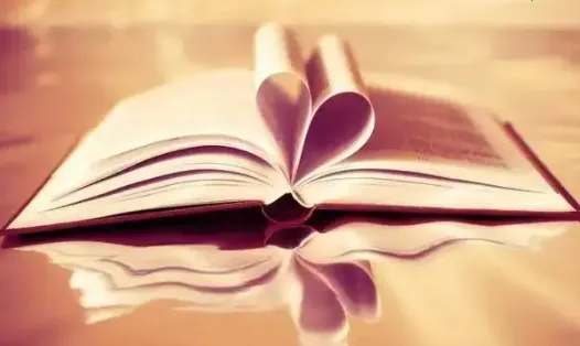 飞鱼阅读软件 飞鱼阅读软件