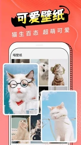 Cat Translation2026�ٷ����°汾v3.1.5 ��׿��