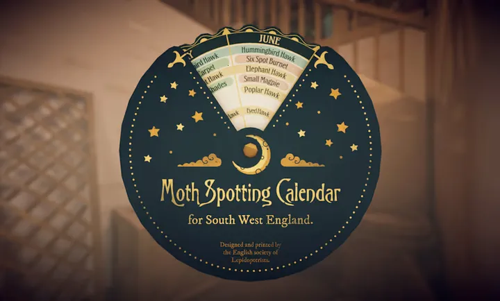 ��̹��ׯ԰2026�ٷ����°汾v1.0.2 �ֻ���