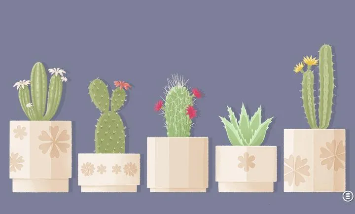 ����һ�㣺�����������ֻ���v3.5.81 �ٷ�����