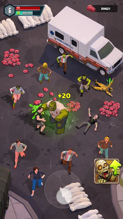 ɥʬ����2026�ٷ����°汾v0.0.3 �ֻ���