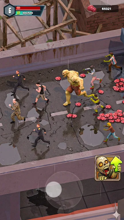 ɥʬ����2026�ٷ����°汾v0.0.3 �ֻ���