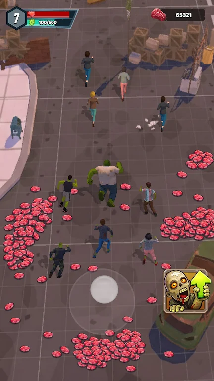 ɥʬ����2026�ٷ����°汾v0.0.3 �ֻ���