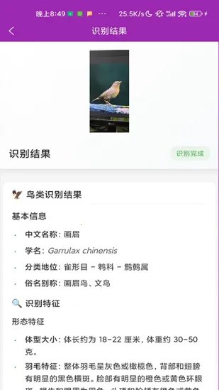 ʶ��2026�ٷ����°汾v1.1.0 �ٷ�����