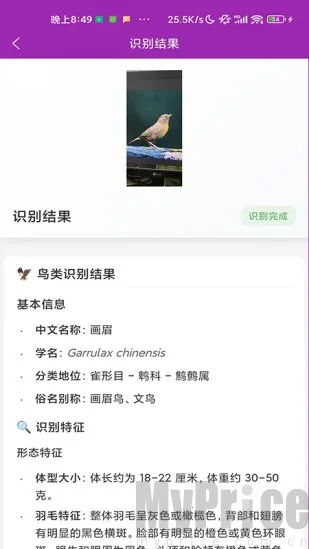 ʶ��2026�ٷ����°汾