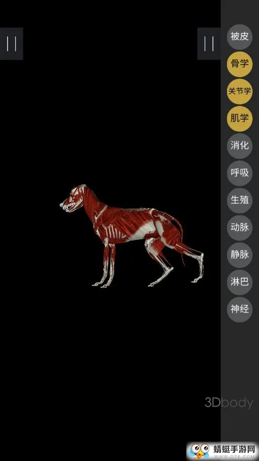 3dbody��������v8.8.72 �ֻ���