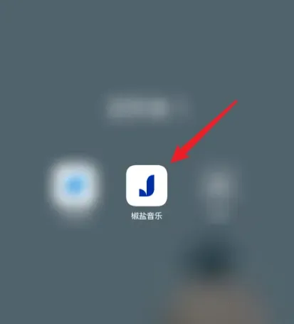 椒盐音乐pro破解版 椒盐音乐pro破解版