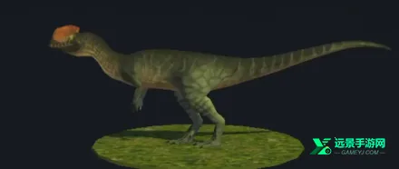 �̹Ŵ�½ԭʼʱ������������