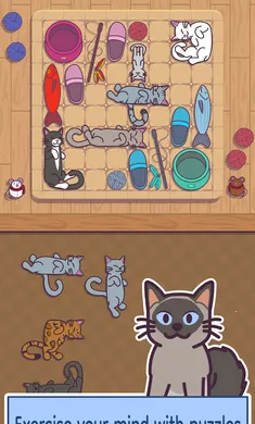 ���׶�(è�������Ϸ)v1.0.0 ��׿��