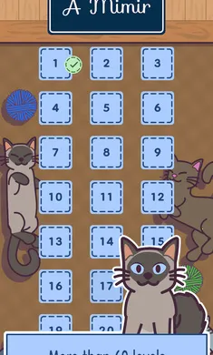 ���׶�(è�������Ϸ)v1.0.0 ��׿��