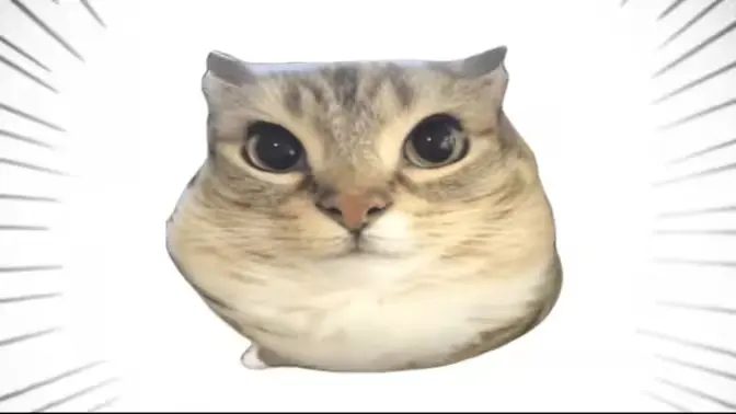 �ͰͲ�һ(δ֪Ӧ��)v1.0 ��׿��